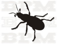 /album/hmyz/hmyz-33-jpg/